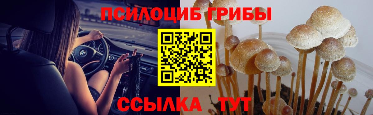 Санкт-Петербург  Псилоцибиновые грибы ЛСД  Вход с VPN 